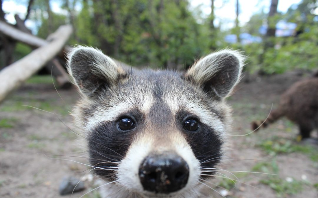 Uma história para crianças que se sentem ansiosas com a entrada na escola (e os pais também!)